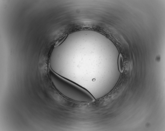 X0000103260916200809191715