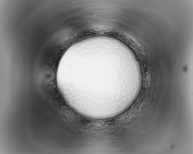 X0000103260917200809191715