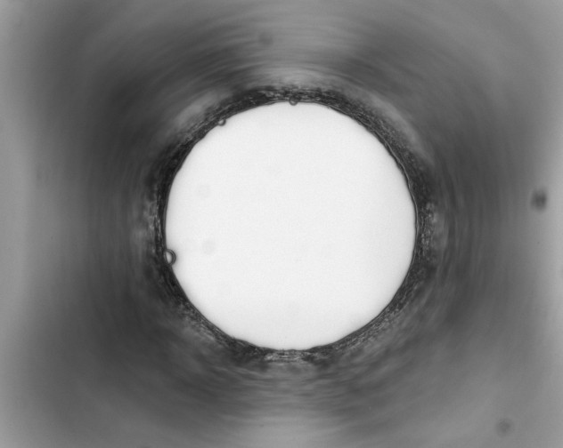 X0000103260918200809191715