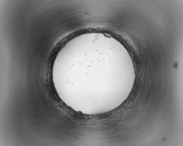 X0000103260920200809191715