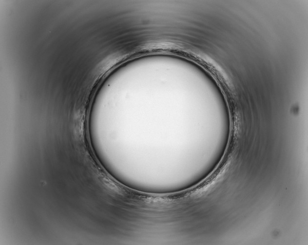 X0000103260921200809191715