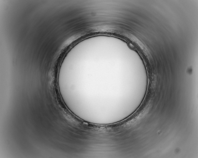 X0000103260922200809191715