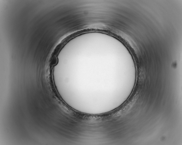 X0000103260923200809191715