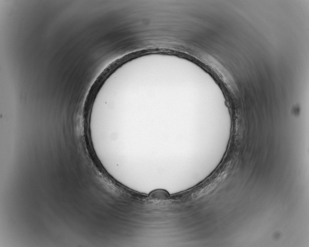 X0000103260924200809191715