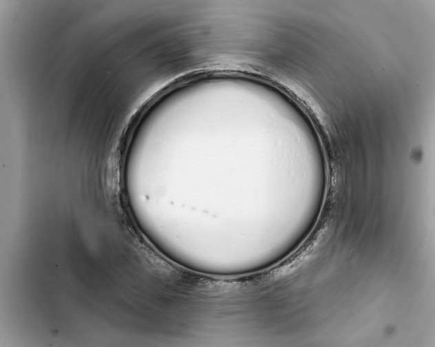 X0000103260925200809191715