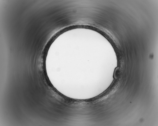 X0000103260926200809191715