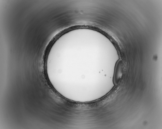 X0000103260927200809191715