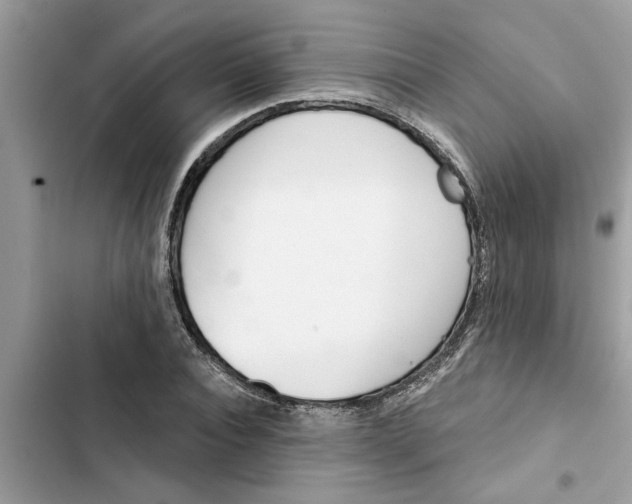 X0000103260928200809191715