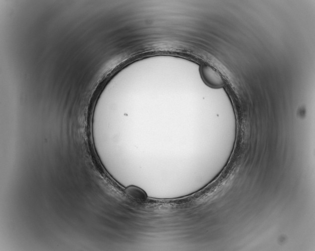 X0000103260930200809191715