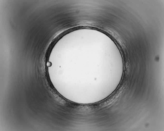 X0000103260931200809191715