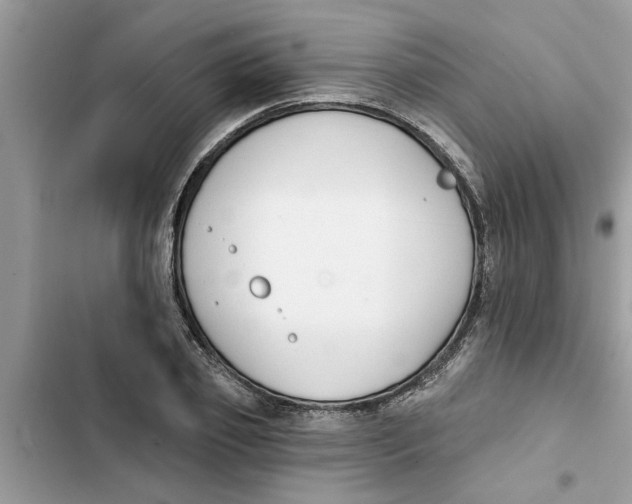 X0000103260933200809191715