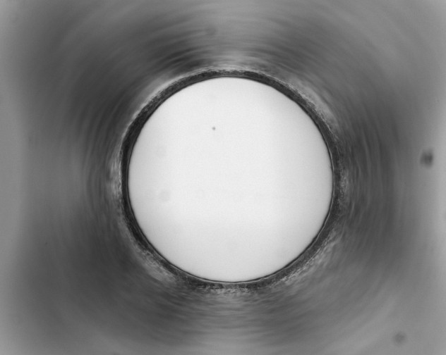 X0000103260934200809191715