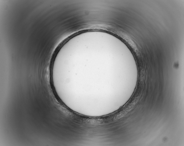 X0000103260936200809191715