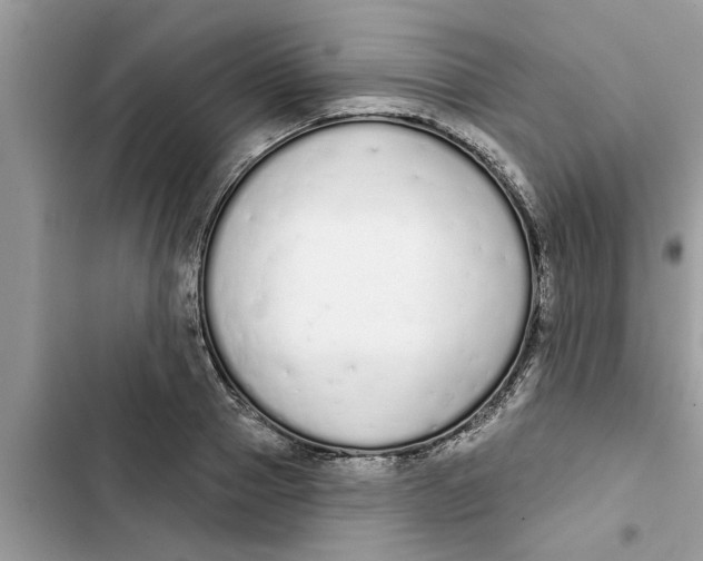 X0000103260937200809191715