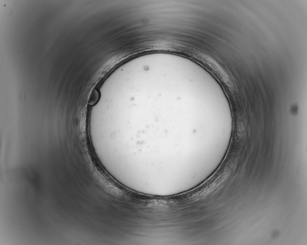 X0000103260938200809191715