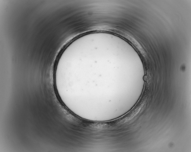 X0000103260939200809191715