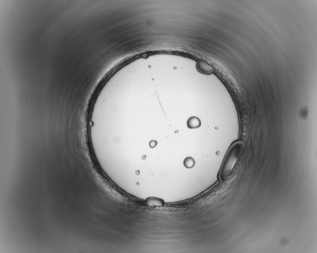 X0000103260942200809191715