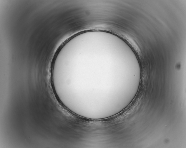 X0000103260944200809191715