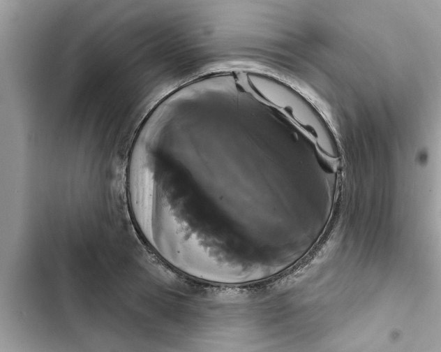 X0000103260945200809191715