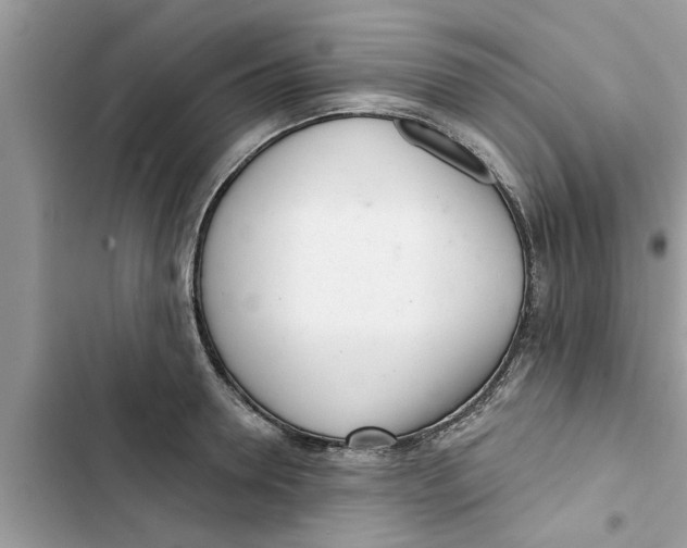 X0000103260946200809191715