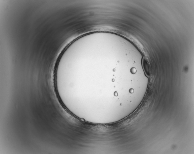 X0000103260947200809191715