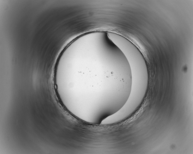 X0000103260948200809191715