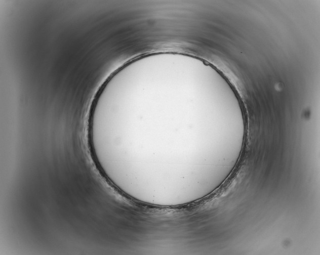 X0000103260949200809191715