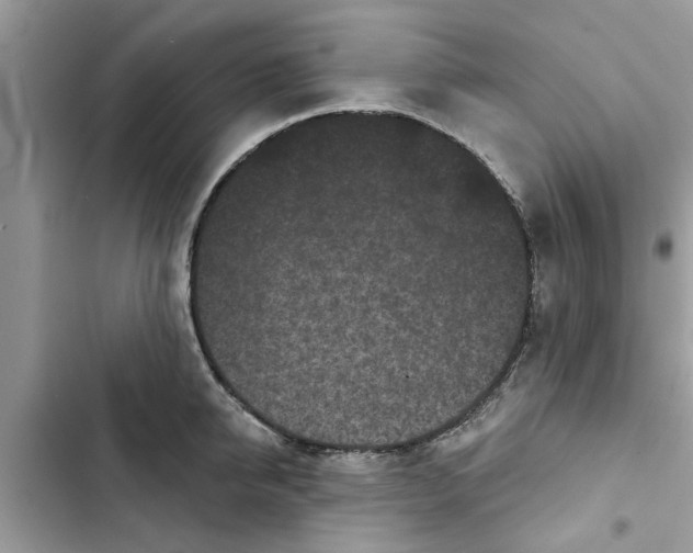 X0000103260950200809191715