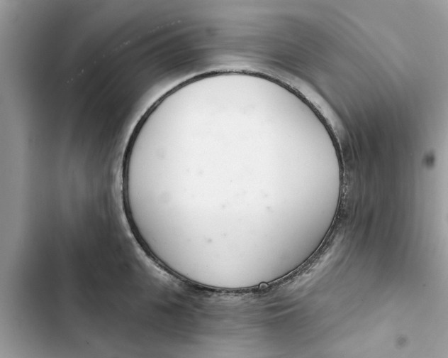 X0000103260951200809191715