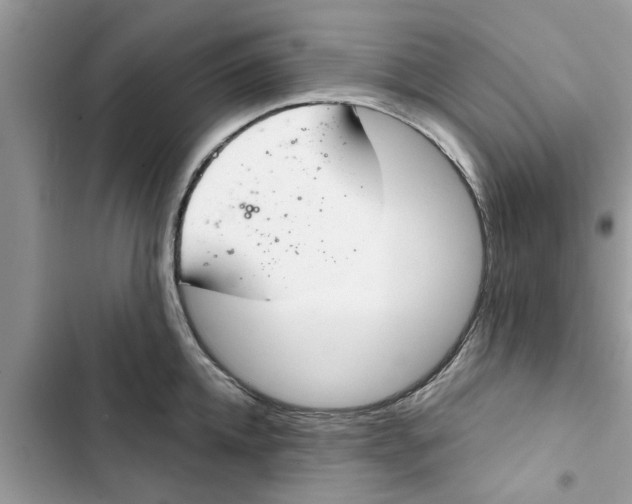 X0000103260952200809191715