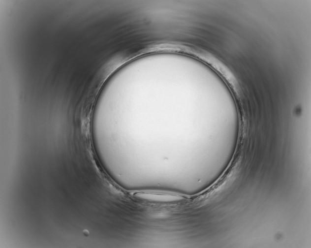 X0000103260953200809191715