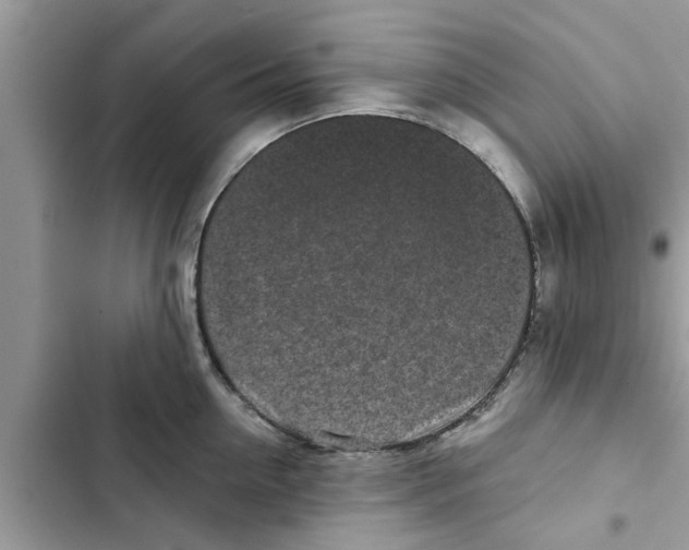 X0000103260954200809191715