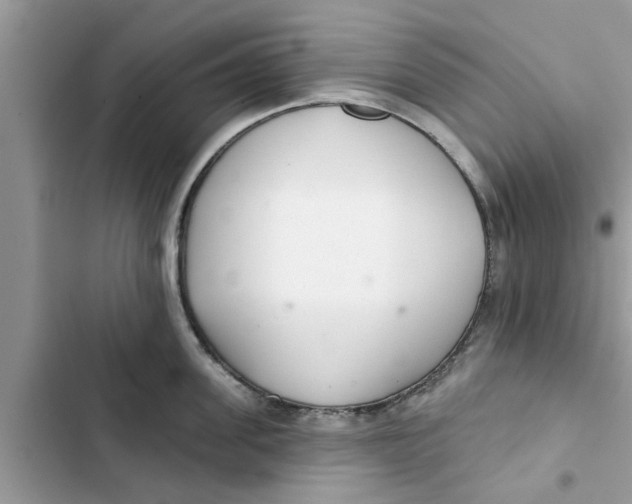 X0000103260955200809191715