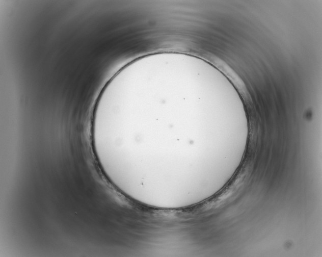 X0000103260956200809191715