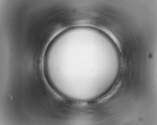 X0000103260957200809191715