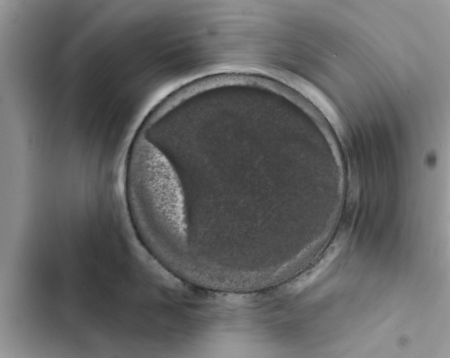 X0000103260958200809191715