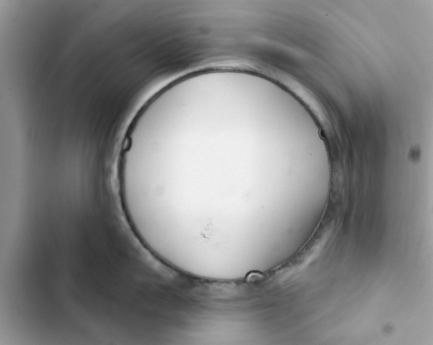 X0000103260959200809191715