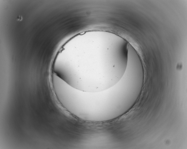 X0000103260960200809191715