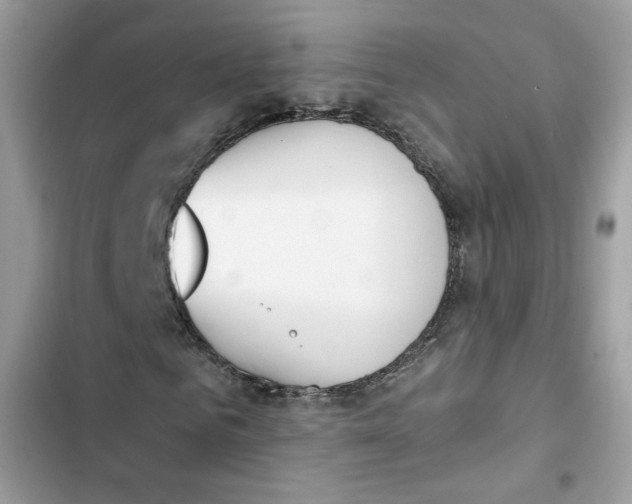 X0000103260961200809191715