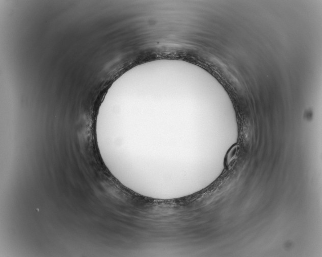 X0000103260964200809191715