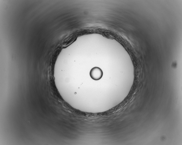 X0000103260965200809191714