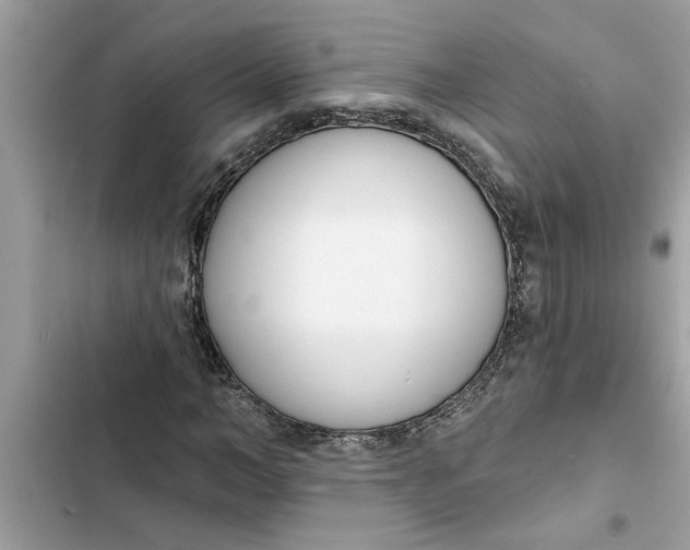 X0000103260966200809191714