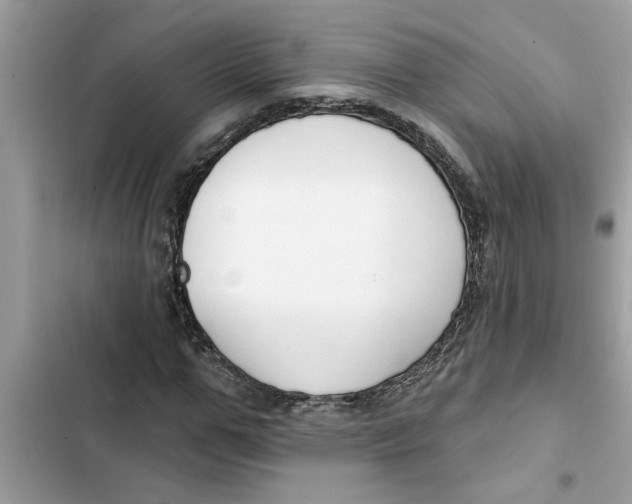 X0000103260967200809191714