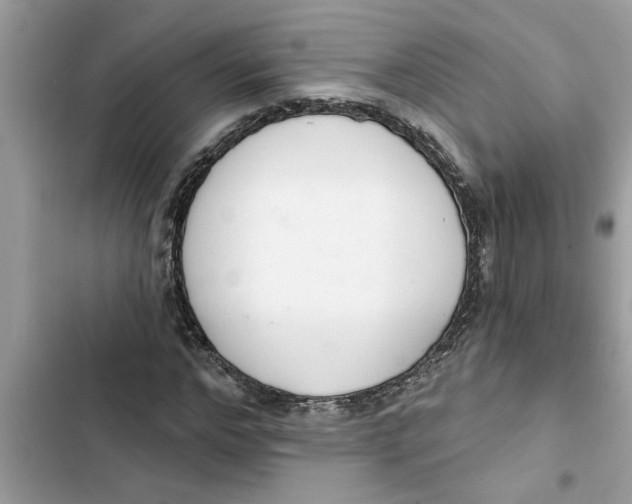 X0000103260968200809191714