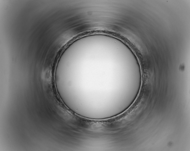 X0000103260969200809191714