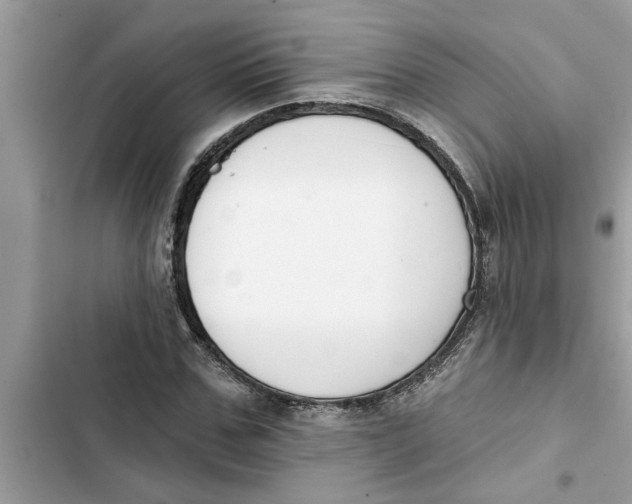 X0000103260971200809191714