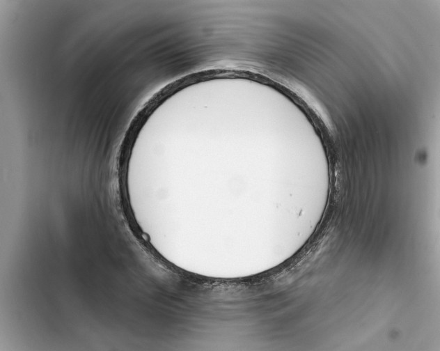 X0000103260972200809191714