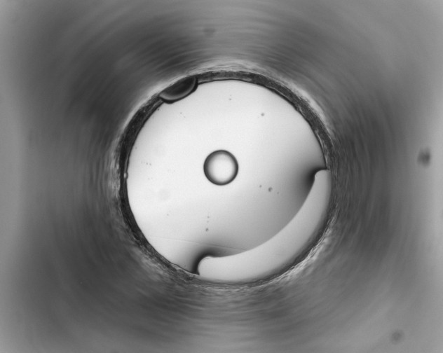 X0000103260973200809191714