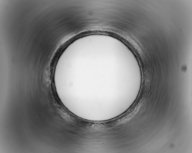 X0000103260974200809191714