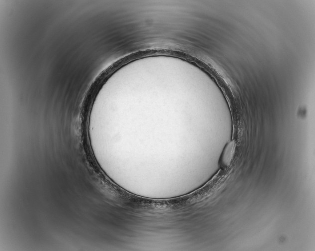 X0000103260975200809191714